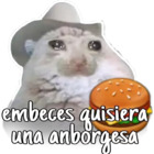 Embeces quisiera una aburguesa