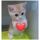 Sticker #446360