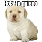 Sticker #473732