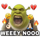 WEEEY NOOO