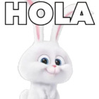 HOLA