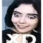 XD