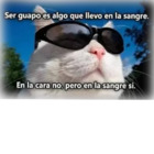 Ser guapo es algo que llevo en la sangre. En la cara no