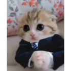 Sticker #591594