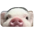 Sticker #601709