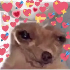 Sticker #636433