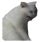 Sticker #655152
