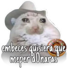 Embeces quisiera que meper donaras