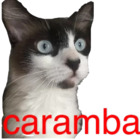 Caramba