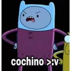Cochino >:v