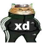 XD