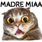 MADRE MIAA