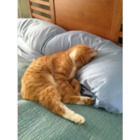 Sticker #791797