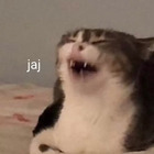 JAJ