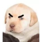 Sticker #888960