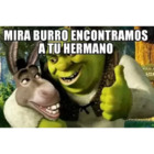 Mira burro encontramos a tu hermano