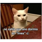 No sabia que uno dormia en