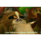 C sta bolblendo zalbaje xDxDxdxDd