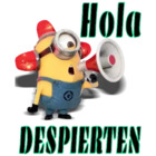 Hola despierten