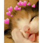 Sticker #924499