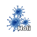 Holi