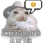 Embeces solo trato de ser feliz