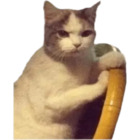Sticker #982605