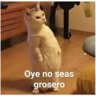 Oye no seas grosero