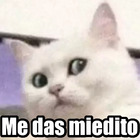 Me das miedito