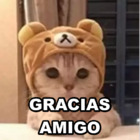 GRACIAS AMIGO