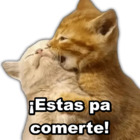 ¡Estas pa comerte!