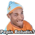 Pepín Boludín?