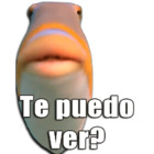 Te puedo ver?