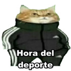 Hora del deporte