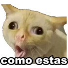 Como estas