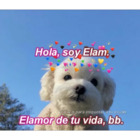 Hola, soy Elam el amor de tu vida bb