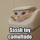Ssssh toy camuflado