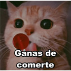 Ganas de comerte