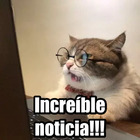 Increíble noticia!!!