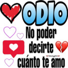 Odio no poder decirte cuanto te amo