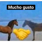 Mucho gusto