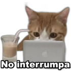 No interrumpa