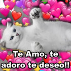 Te Amo, te adoro te deseo!!