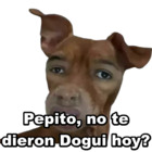Pepito, no te dieron Dogui hoy?