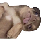 Sticker #6167031