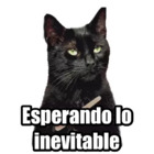 Esperando lo inevitable