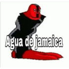 Agua de jamaica