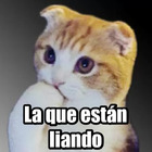La que están liando