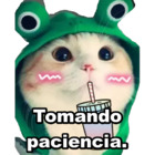 Tomando paciencia.