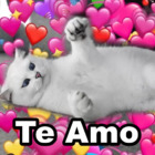 Te Amo